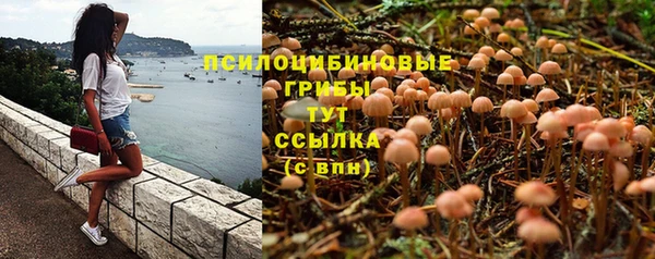 каннабис Новокубанск