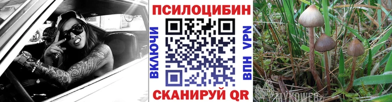 закладки  Уфа  Псилоцибиновые грибы мицелий 